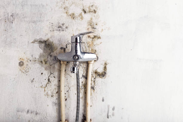 Best Toxic Mold Removal  in Hyde, PA