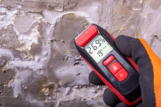 Trusted Hyde, PA Mold Removal Experts