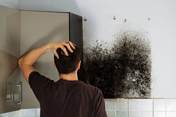 Best Home Mold Removal  in Hyde, PA